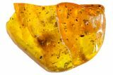 Detailed Fossil Daddy Long-leg, Ant & Flower Stamen in Baltic Amber #163506-4